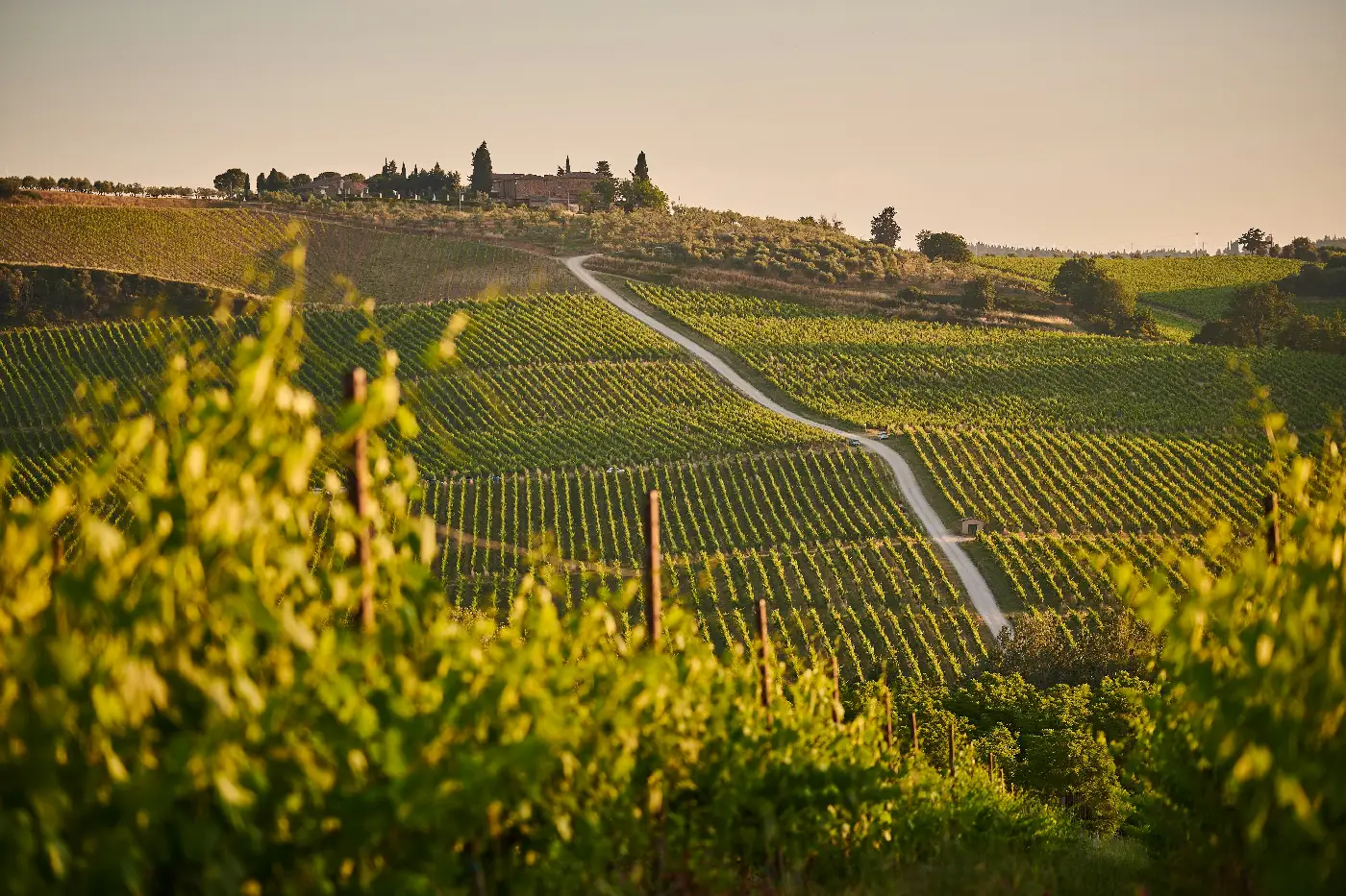 Why Companies Should Invest in Business Italian